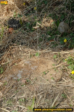 Outdoor pissing on the dry grass on a pond shore - N