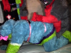 furry-pegging-time